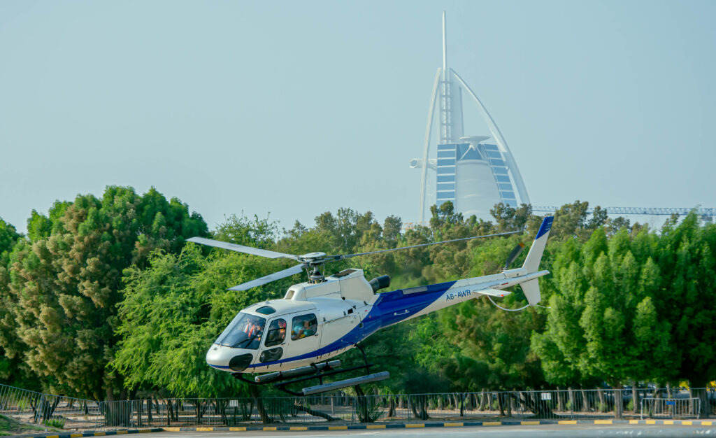 Green Planet Interior