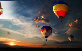 Green Planet Wildlife